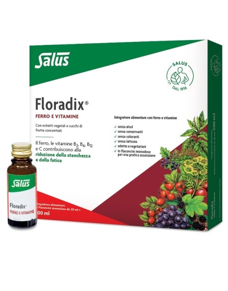 FLORADIX-FERRO 10 FLACONCINI20ML