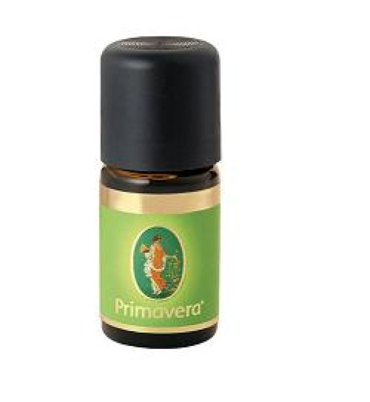 OE CANNELLA FOGLIE 6% 10ML FLORA