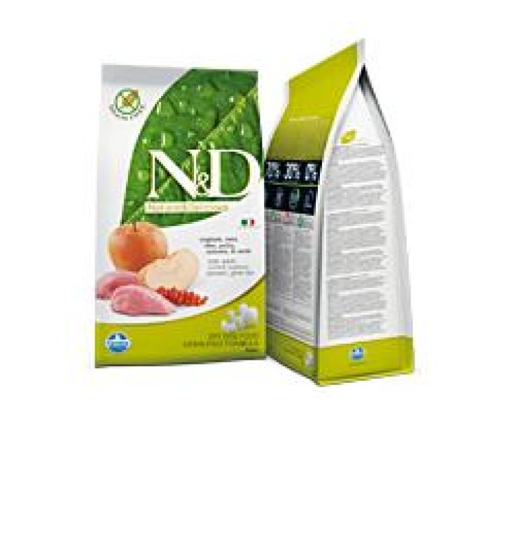 V N&D DOG CINGH MELA AD MINI 2,5