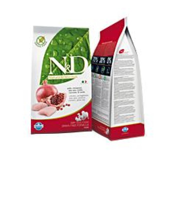 V N&D DOG POLL MELOGR AD MINI2,5