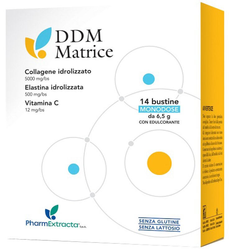 DDM MATRICE 14 BUSTINE