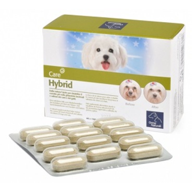 ORME NATURALI HYBRID 60 COMPRESSE 1300 MG ORME NATURALI HYBRID 60 COMPRESSE 1300 MG