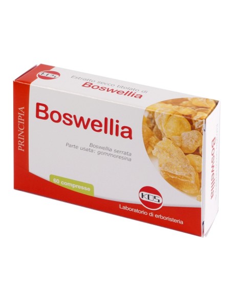 BOSWELLIA ES.SEC 60CPR 24G KOS