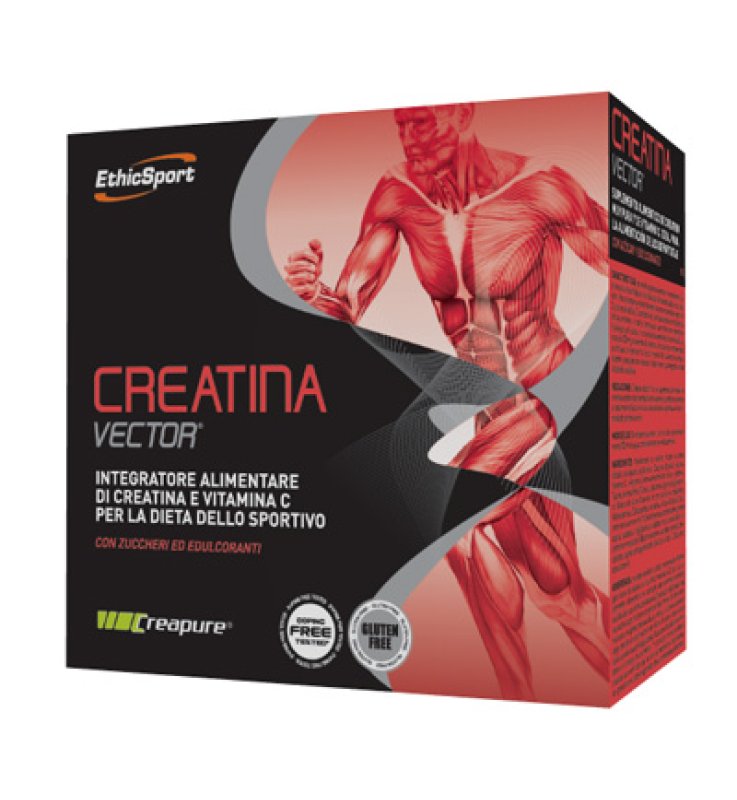 CREATINA VECTOR 20BST 8GR (CREAT