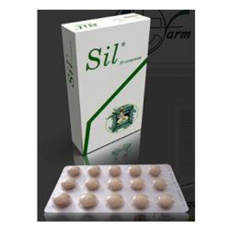 SIL*INT 30CPR 500MG SIL*INT 30CPR 500MG