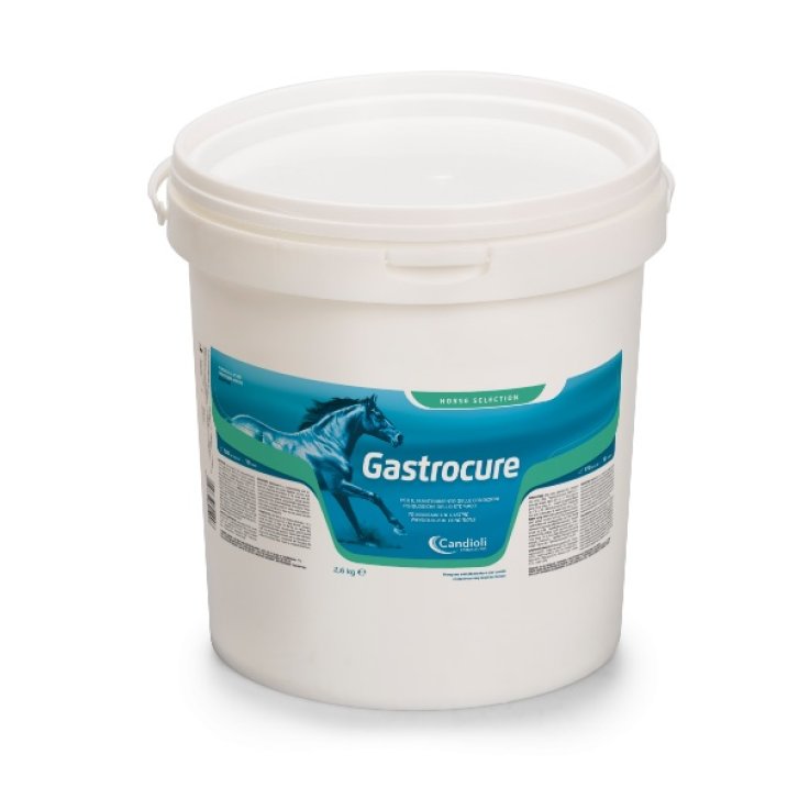 V GASTROCURE 2,6KG V GASTROCURE 2,6KG