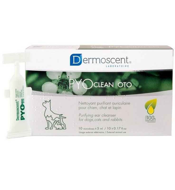 PYOCLEAN Oto 10fl.5ml