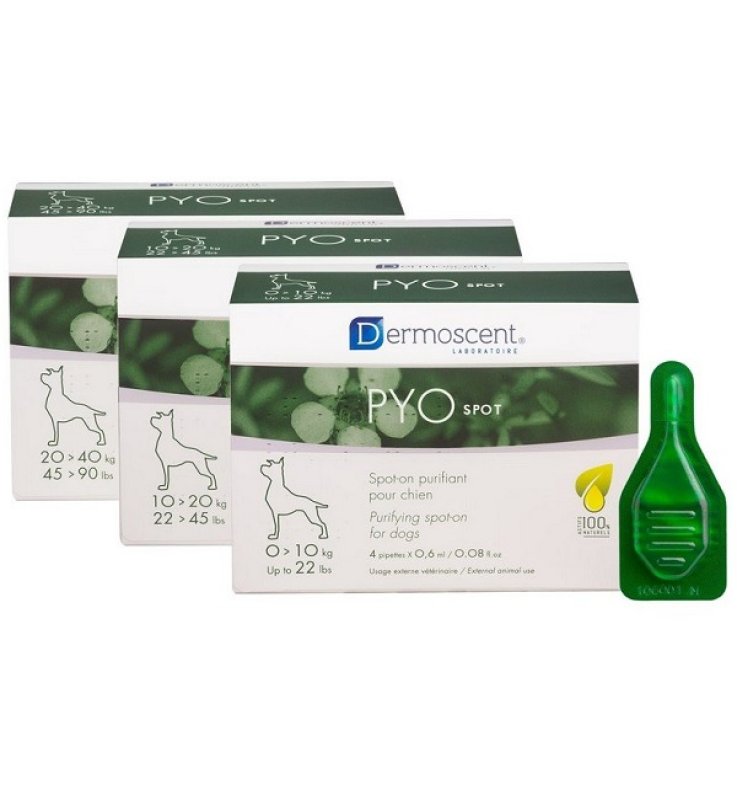 PYO Spot Cane 0-10Kg