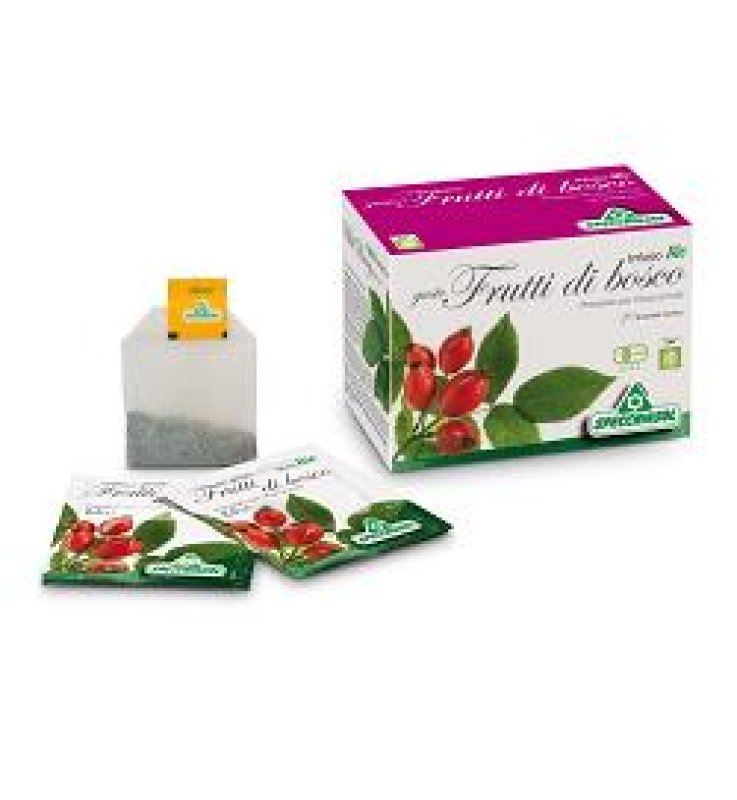 INFUSO Bio FruttaBosco 20F.SPE INFUSO Bio FruttaBosco 20F.SPE