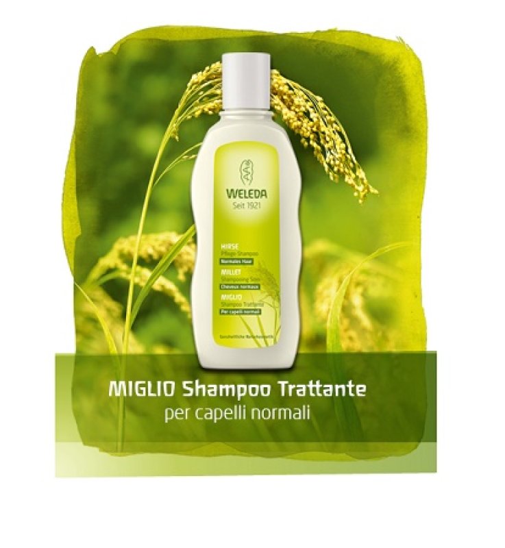 WELEDA Miglio Sh.Tratt.190ml WELEDA Miglio Sh.Tratt.190ml