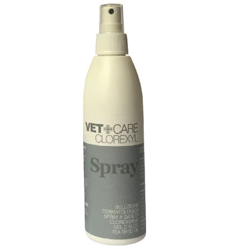 CLOREXYL Soluz.Spray 150ml