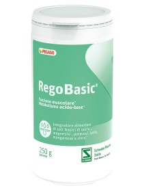 REGOBASIC POLVERE 250 G