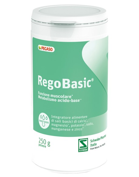 REGOBASIC POLVERE 250 G