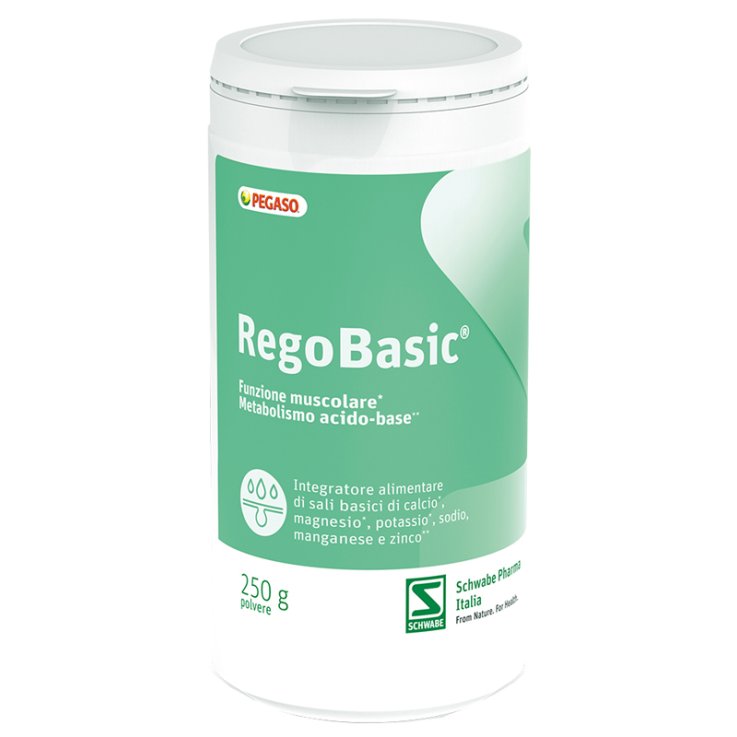 REGOBASIC POLVERE 250 G REGOBASIC POLVERE 250 G