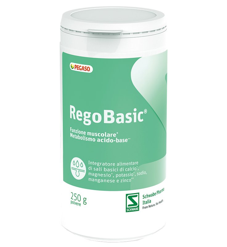 REGOBASIC POLVERE 250 G