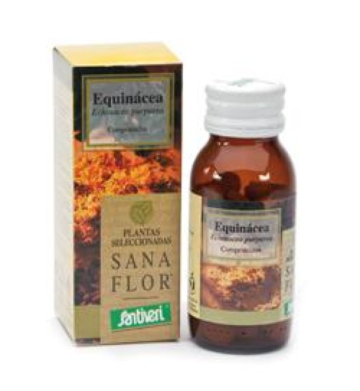 ECHINACEA 60CPR 26G STV ECHINACEA 60CPR 26G STV