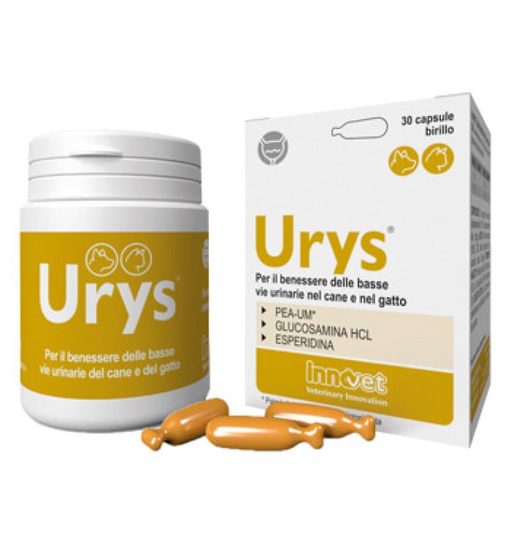 URYS 30 CAPSULE BIRILLO