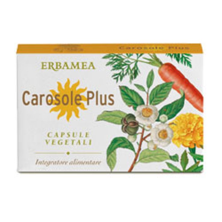 CAROSOLE PLUS 24CPS VEG S/GL ERB CAROSOLE PLUS 24CPS VEG S/GL ERB