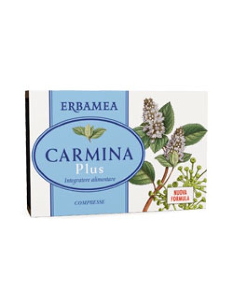 CARMINA PLUS 24CPR 800MG ERBAMEA