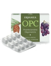 OPC 24CPS VEG S/GL 500MG ERBAMEA