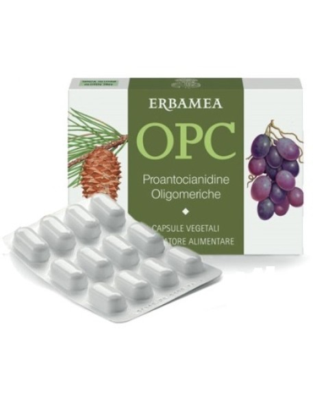 OPC 24CPS VEG S/GL 500MG ERBAMEA