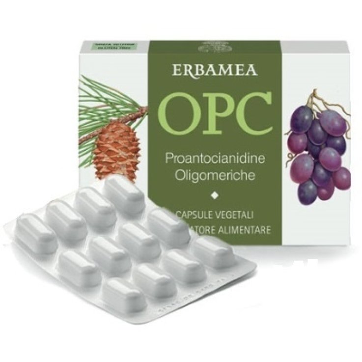 OPC 24CPS VEG S/GL 500MG ERBAMEA OPC 24CPS VEG S/GL 500MG ERBAMEA