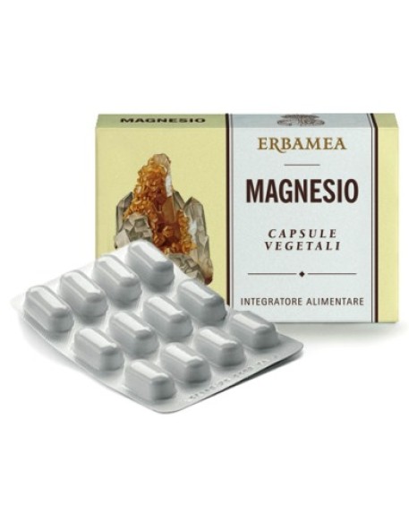 MAGNESIO 24 CAPSULE 1200 MG