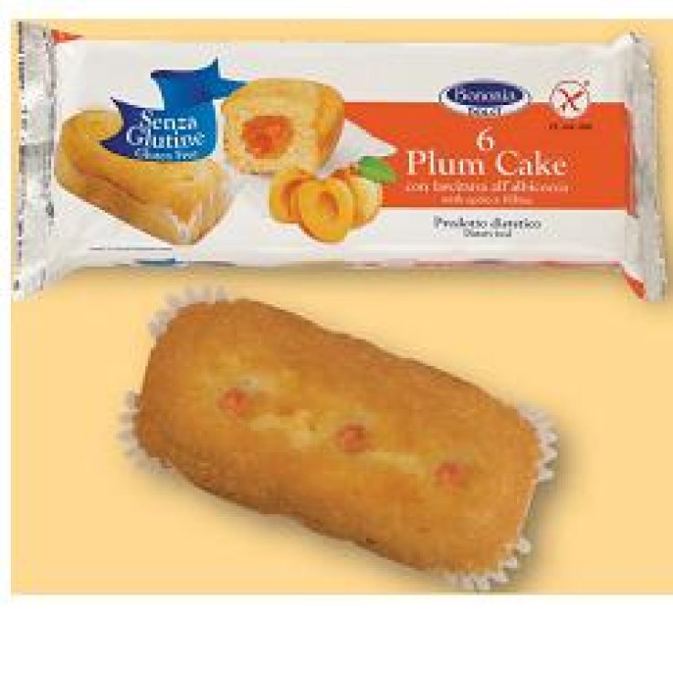 BONONIA Plumcake Alb.6x45g BONONIA Plumcake Alb.6x45g