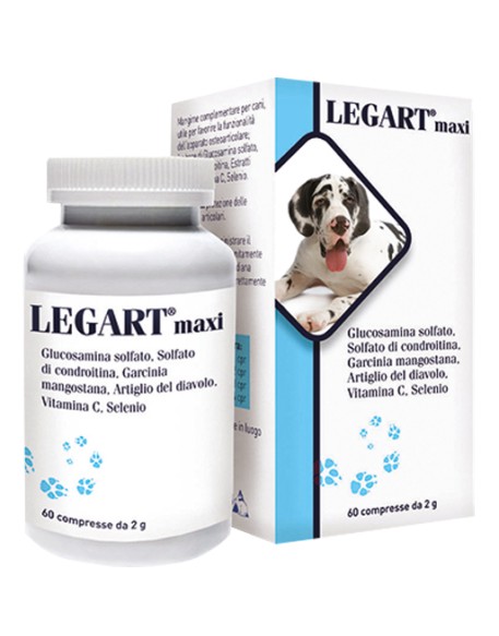 LEGART MAXI 60 COMPRESSE 2 G