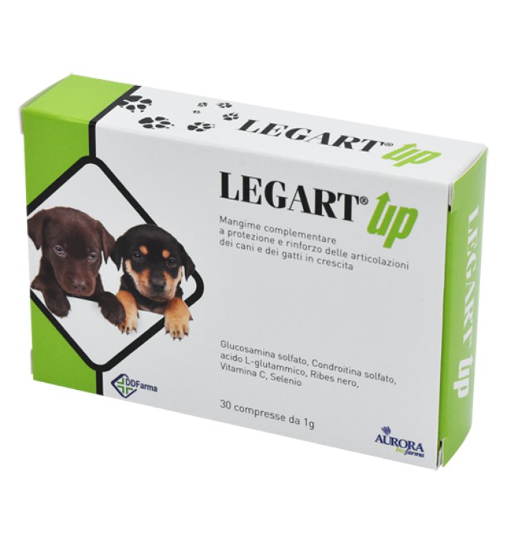 LEGART UP 60 COMPRESSE DA 1 G