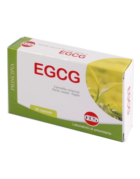 EGCG THE VERDE 30 CAPSULE NUOVA FORMULA