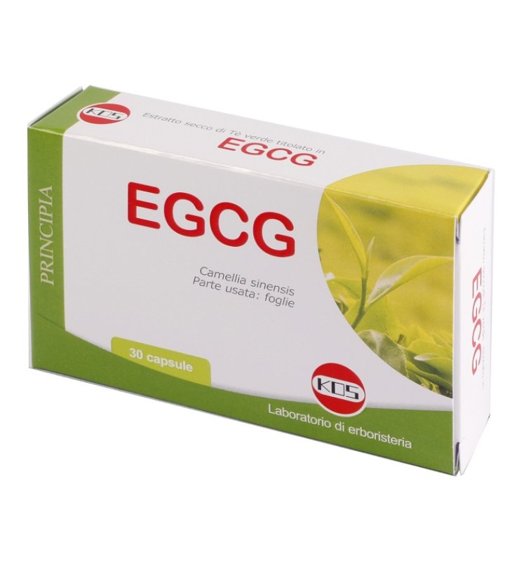 EGCG THE VERDE 30 CAPSULE NUOVA FORMULA