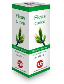 FICUS CARICA MG Gtt 100ml KOS