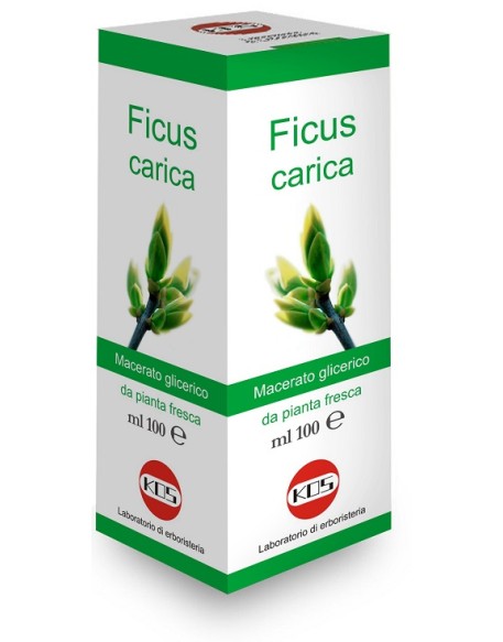 FICUS CARICA MG Gtt 100ml KOS