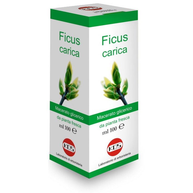 FICUS CARICA MG Gtt 100ml KOS FICUS CARICA MG Gtt 100ml KOS