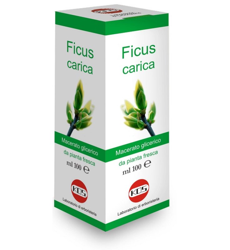 FICUS CARICA MG Gtt 100ml KOS
