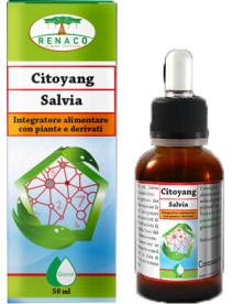 CITOYANG SALVIA GTT 50ML RI GROU