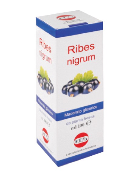 RIBES NIGRUM MG 100ML GTT KOS