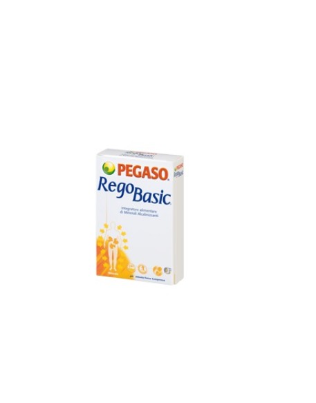 REGOBASIC 12 BUSTINE POLVERE