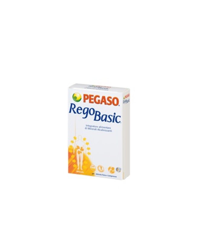 REGOBASIC 12 BUSTINE POLVERE