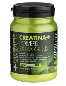 CREATINA+ POWDER EXTRAGOLD 350GR