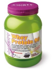 WHEY PROTEIN 90 CACAO 750GR +WAT
