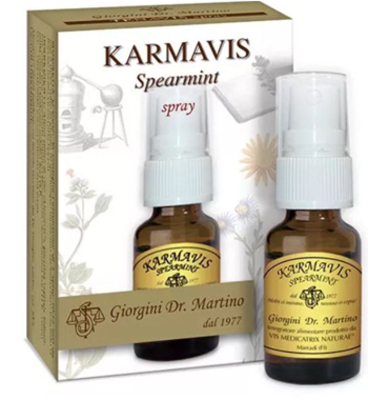 KARMAVIS SPEARMINT SPRY 15M GIOR