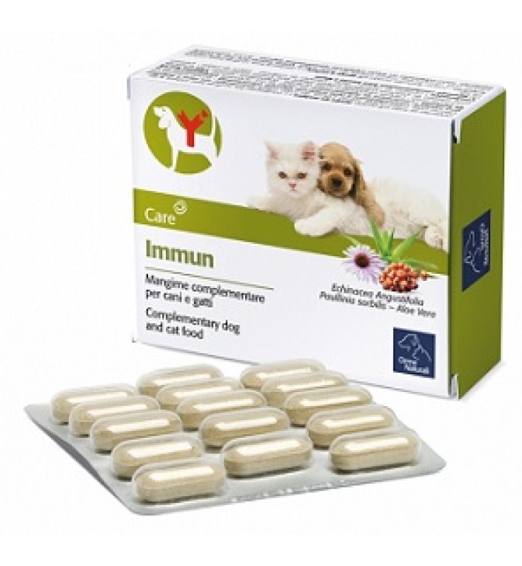 IMMUN 60 COMPRESSE