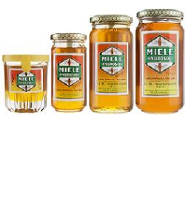 AMBROSOLI MIELE 250g