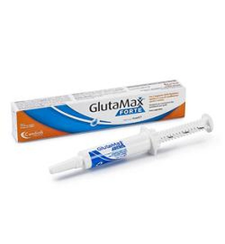 MANGIME COMPLEMENTARE PER GATTI GLUTAMAX FORTE PASTA IN SIRINGA DOSATRICE DA 15 ML