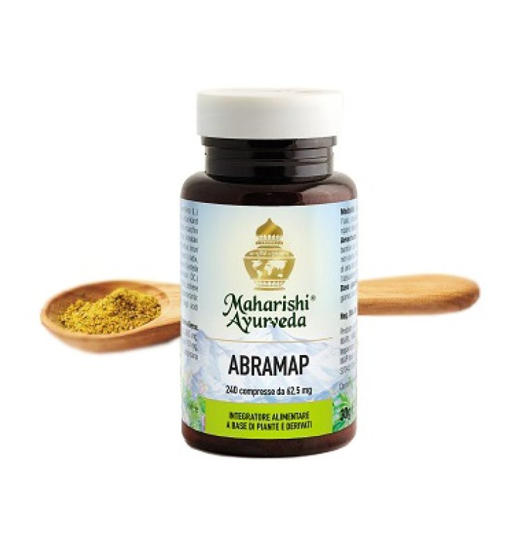 ABRAMAP 240 Tav.