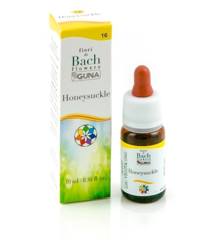 BACHFLOWERS 16 Honeysuckle10ml BACHFLOWERS 16 Honeysuckle10ml