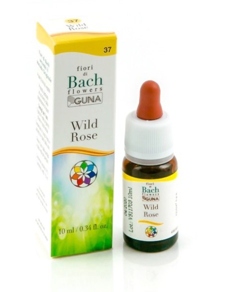 BACHFLOWERS 37 Wild Rose 10ml