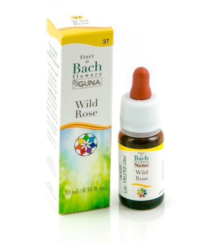BACHFLOWERS 37 Wild Rose 10ml BACHFLOWERS 37 Wild Rose 10ml
